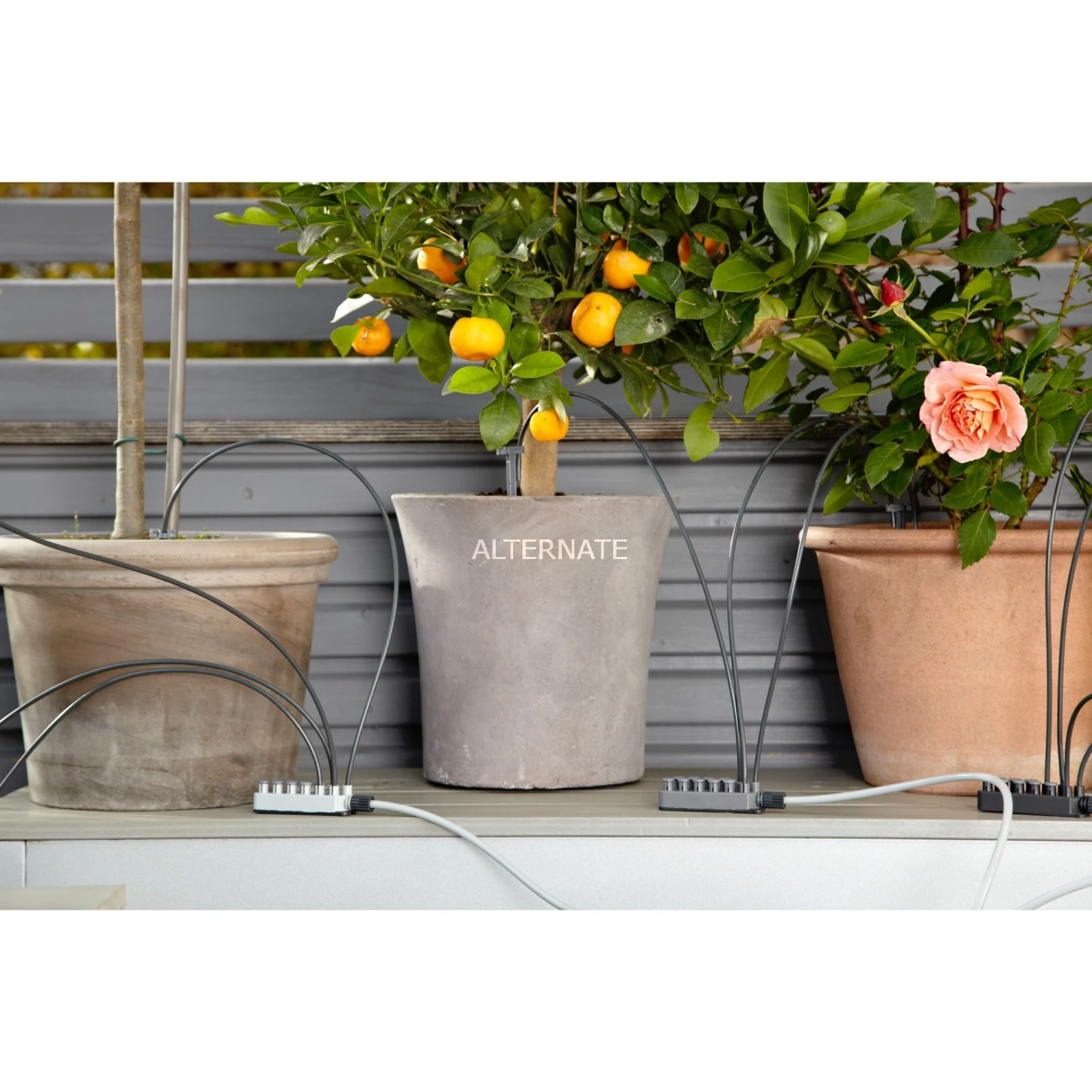 GARDENA City Gardening Urlaubsbewässerung-Set 1265-20, Bewässerungssteuerung (grau) 4 GARDENA City Gardening Urlaubsbewässerung-Set 1265-20, Bewässerungssteuerung (grau) – Bild 2