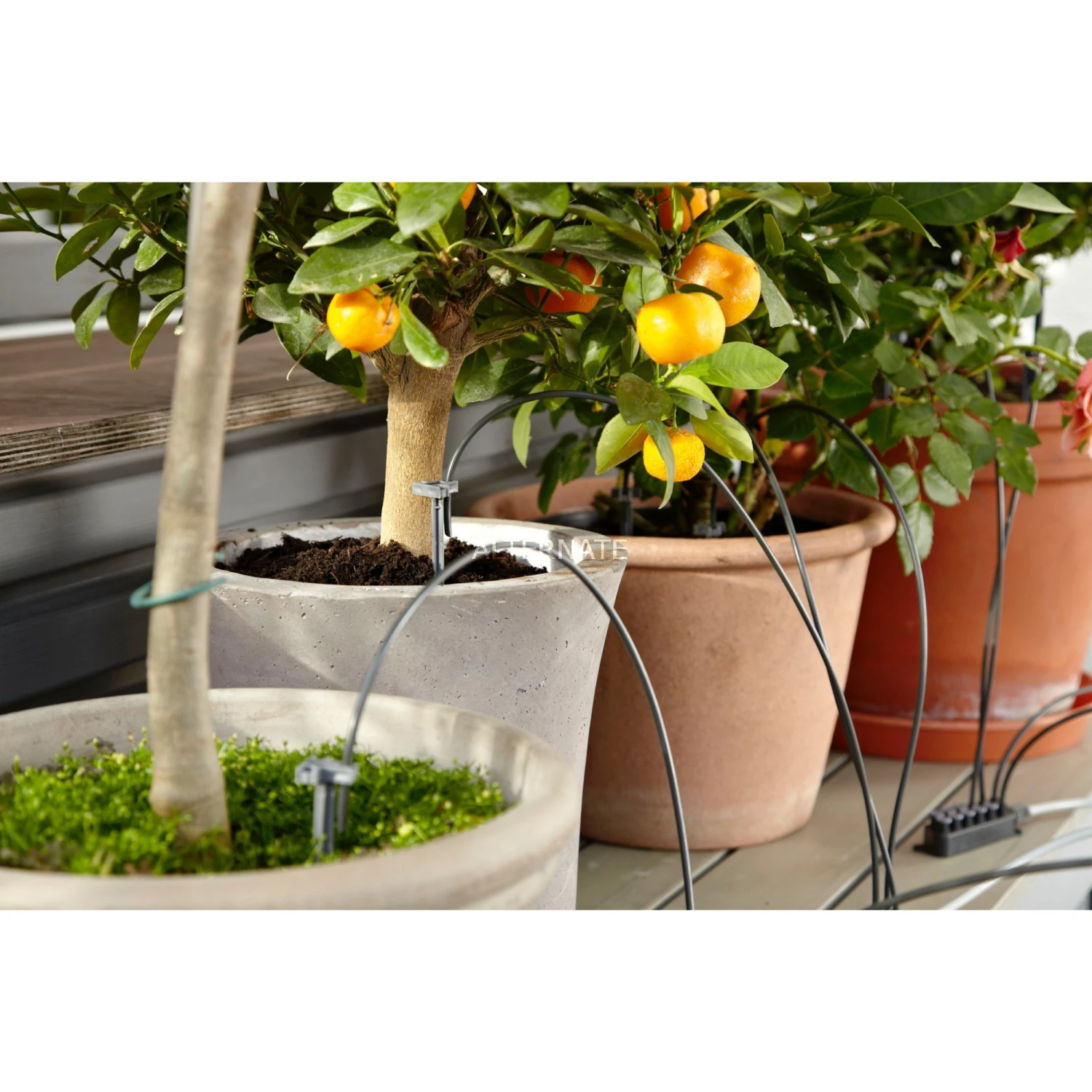 GARDENA City Gardening Urlaubsbewässerung-Set 1265-20, Bewässerungssteuerung (grau) 5 GARDENA City Gardening Urlaubsbewässerung-Set 1265-20, Bewässerungssteuerung (grau) – Bild 3