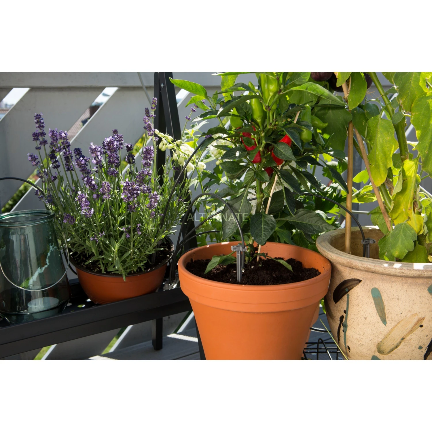 GARDENA City Gardening Urlaubsbewässerung-Set 1265-20, Bewässerungssteuerung (grau) 7 GARDENA City Gardening Urlaubsbewässerung-Set 1265-20, Bewässerungssteuerung (grau) – Bild 5