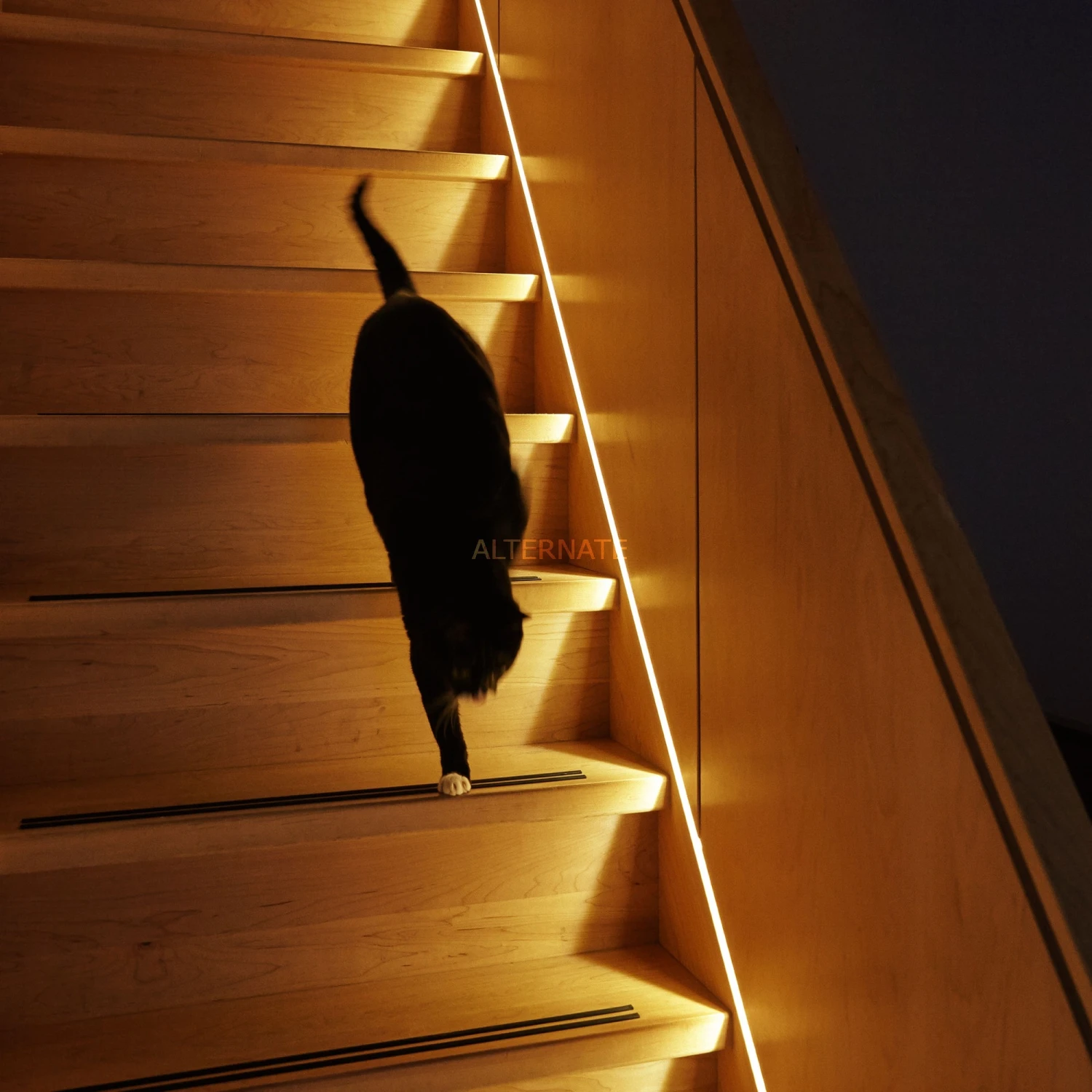 Leuchten INNR Flex Light Colour, LED-Streifen (4 Meter, Mit Stecker) 7 Leuchten INNR Flex Light Colour, LED-Streifen (4 Meter, Mit Stecker) – Bild 5