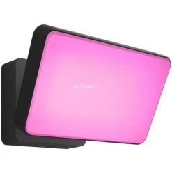 Leuchten Philips Hue White & Color Ambiance Discover Flutlicht, LED-Leuchte (schwarz)