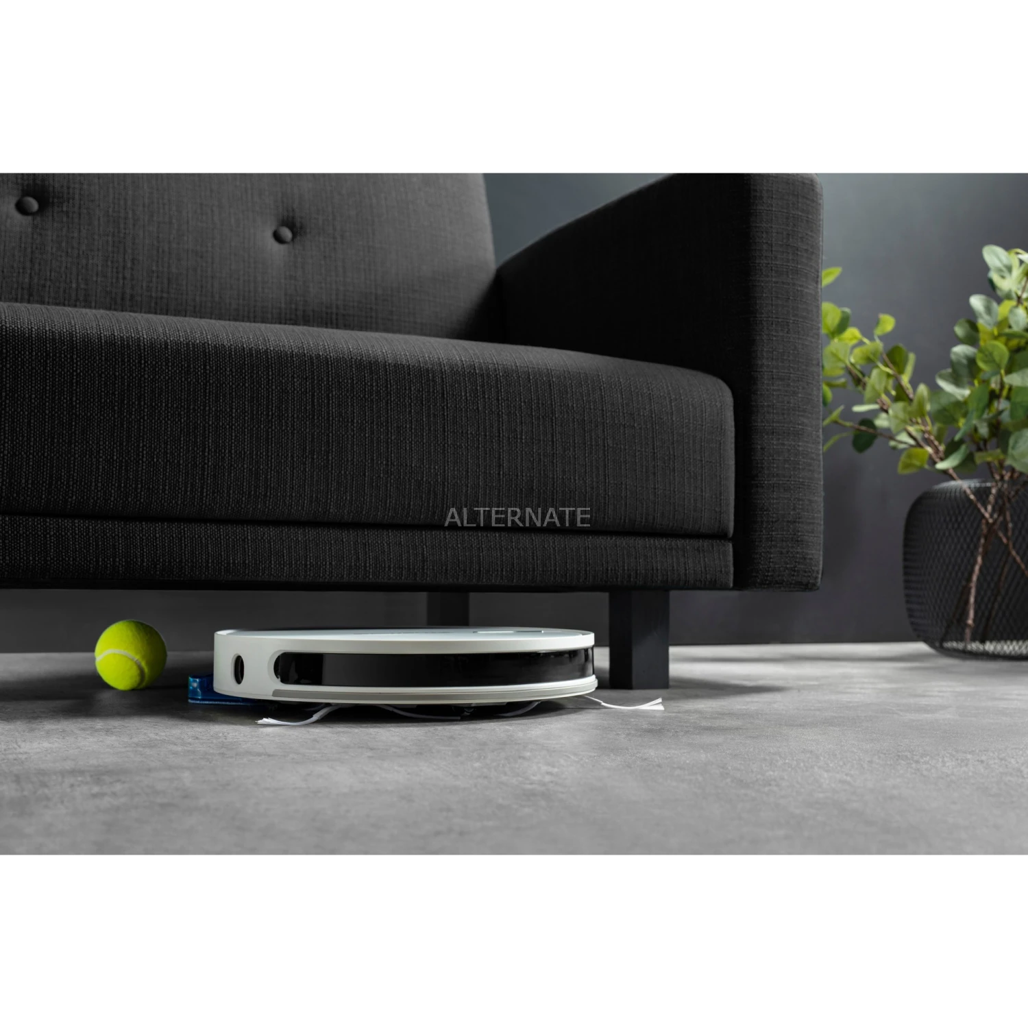 Rowenta X-plorer Serie 60 Allergy Connect RR7447 , Saugroboter (weiß, WLAN) – Bild 5